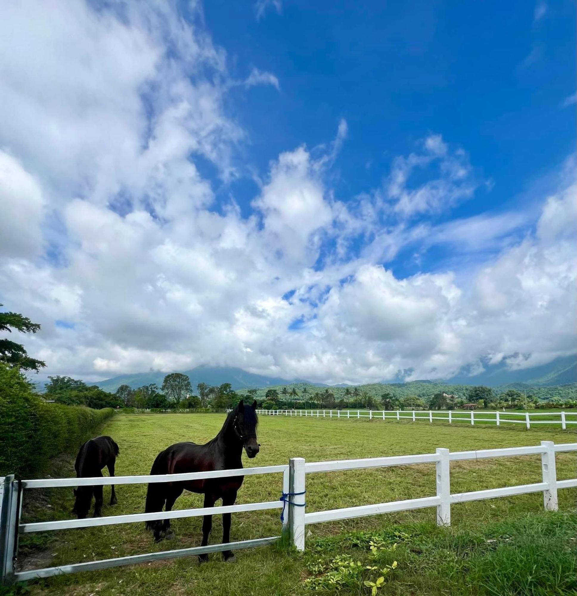 The Wes Village, Incl Free Breakfast & 100 Thb Food Gift Chiang Dao Extérieur photo