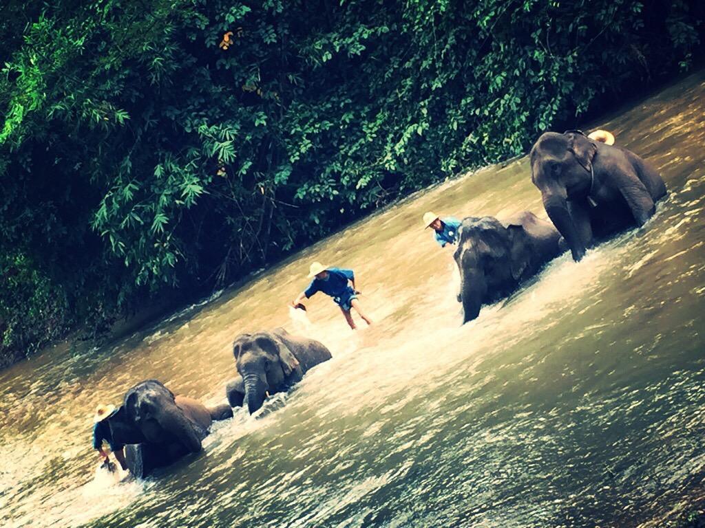 The Wes Village, Incl Free Breakfast & 100 Thb Food Gift Chiang Dao Extérieur photo